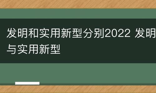 发明和实用新型分别2022 发明与实用新型