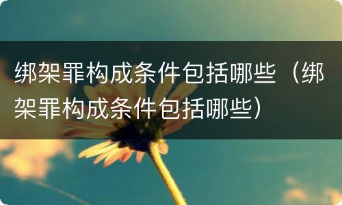 绑架罪构成条件包括哪些（绑架罪构成条件包括哪些）