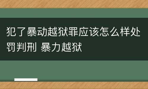 犯了暴动越狱罪应该怎么样处罚判刑 暴力越狱