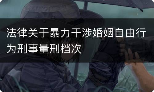 法律关于暴力干涉婚姻自由行为刑事量刑档次