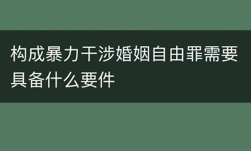 构成暴力干涉婚姻自由罪需要具备什么要件