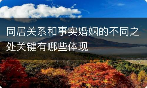 同居关系和事实婚姻的不同之处关键有哪些体现