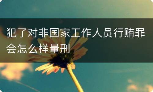 犯了对非国家工作人员行贿罪会怎么样量刑