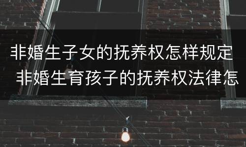 非婚生子女的抚养权怎样规定 非婚生育孩子的抚养权法律怎么规定的