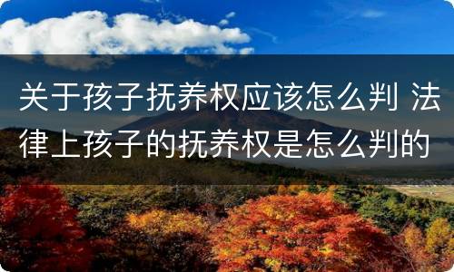 关于孩子抚养权应该怎么判 法律上孩子的抚养权是怎么判的