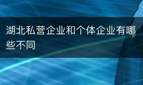 湖北私营企业和个体企业有哪些不同
