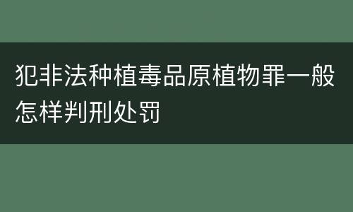 犯非法种植毒品原植物罪一般怎样判刑处罚