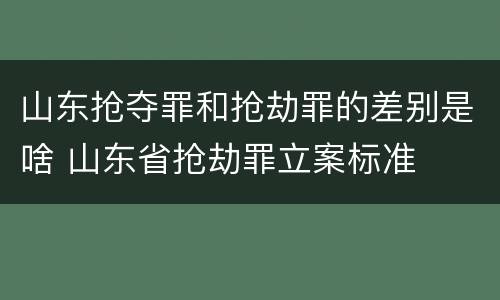 山东抢夺罪和抢劫罪的差别是啥 山东省抢劫罪立案标准
