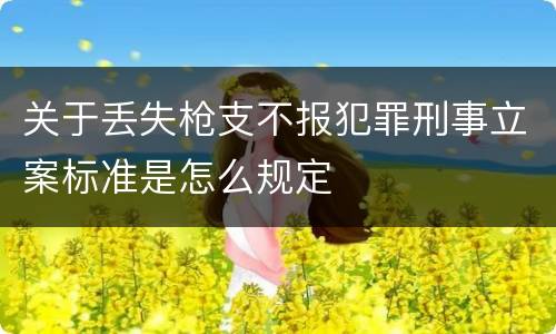 关于丢失枪支不报犯罪刑事立案标准是怎么规定