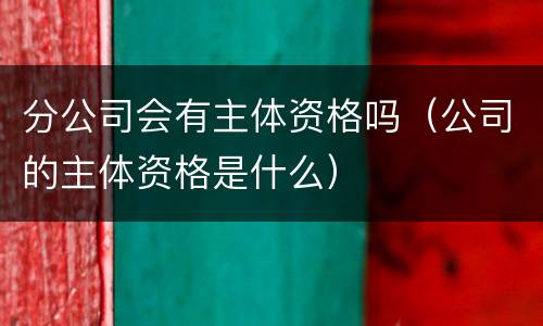 分公司会有主体资格吗（公司的主体资格是什么）