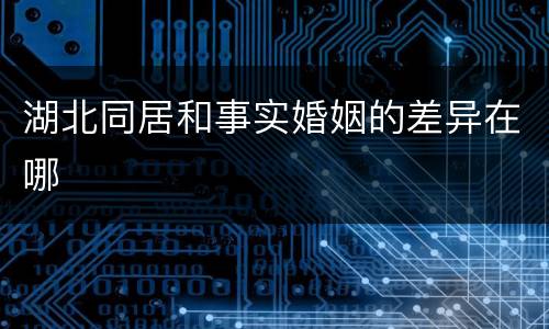 湖北同居和事实婚姻的差异在哪