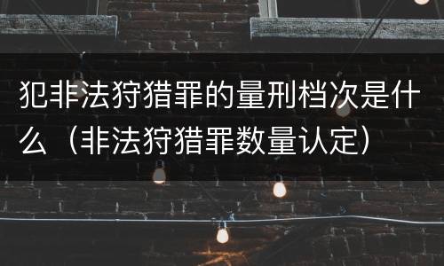 犯非法狩猎罪的量刑档次是什么（非法狩猎罪数量认定）