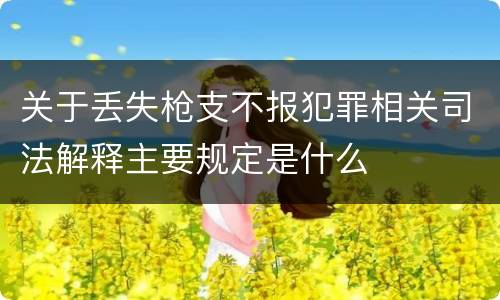 关于丢失枪支不报犯罪相关司法解释主要规定是什么