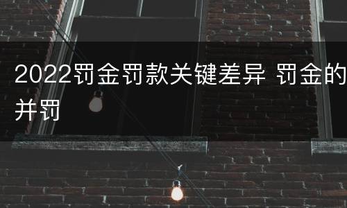 2022罚金罚款关键差异 罚金的并罚