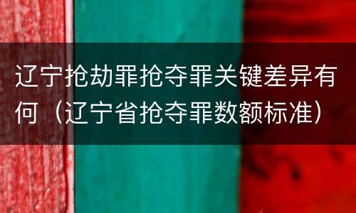 辽宁抢劫罪抢夺罪关键差异有何（辽宁省抢夺罪数额标准）