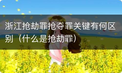 浙江抢劫罪抢夺罪关键有何区别（什么是抢劫罪）