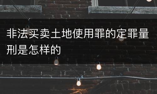 非法买卖土地使用罪的定罪量刑是怎样的