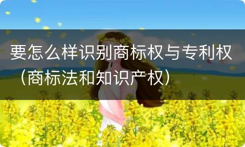 要怎么样识别商标权与专利权（商标法和知识产权）
