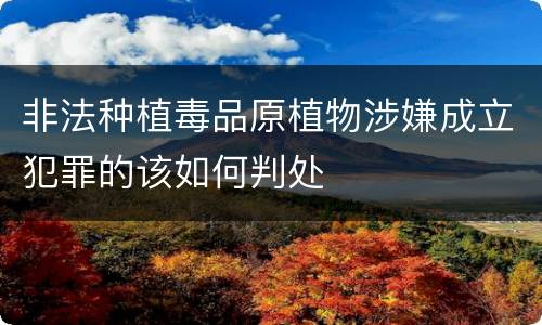 非法种植毒品原植物涉嫌成立犯罪的该如何判处