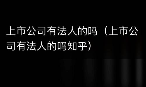 上市公司有法人的吗（上市公司有法人的吗知乎）