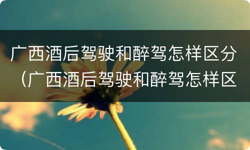 广西酒后驾驶和醉驾怎样区分（广西酒后驾驶和醉驾怎样区分呢）