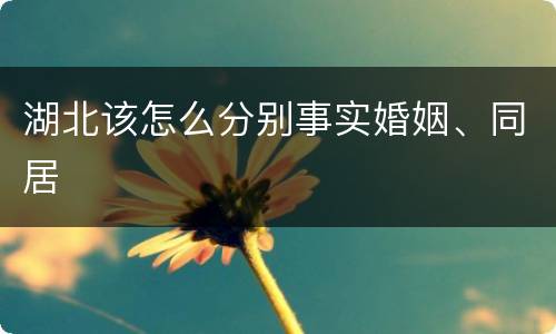 湖北该怎么分别事实婚姻、同居