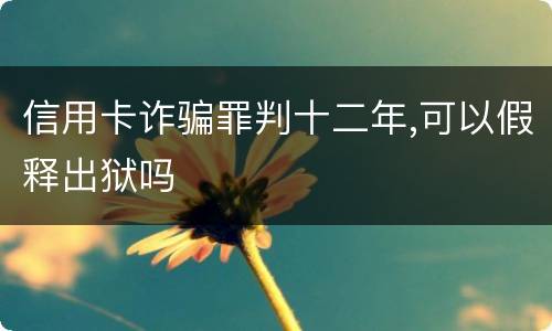 信用卡诈骗罪判十二年,可以假释出狱吗