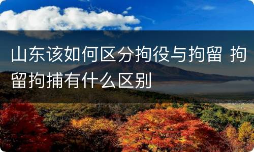 山东该如何区分拘役与拘留 拘留拘捕有什么区别
