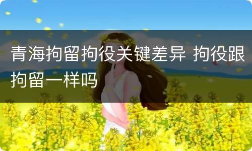 青海拘留拘役关键差异 拘役跟拘留一样吗