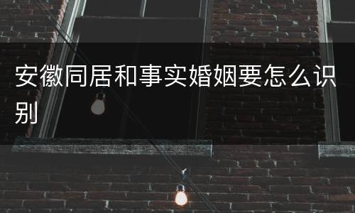 安徽同居和事实婚姻要怎么识别