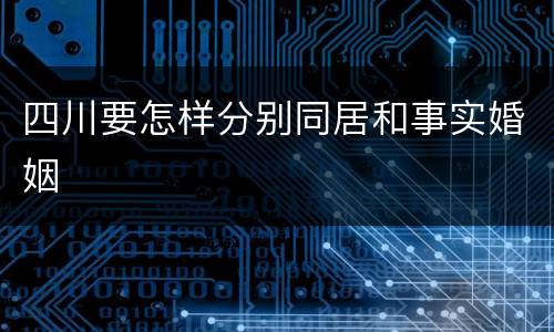 四川要怎样分别同居和事实婚姻
