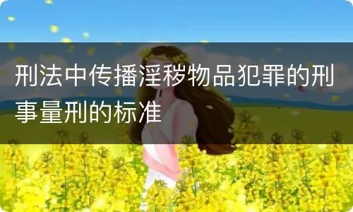 刑法中传播淫秽物品犯罪的刑事量刑的标准