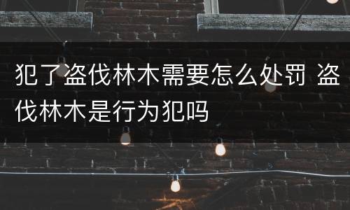 犯了盗伐林木需要怎么处罚 盗伐林木是行为犯吗