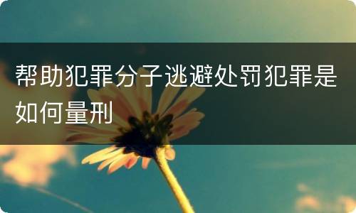 帮助犯罪分子逃避处罚犯罪是如何量刑