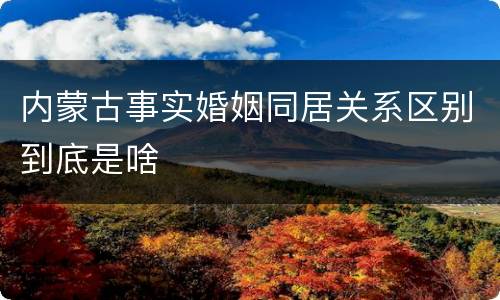 内蒙古事实婚姻同居关系区别到底是啥