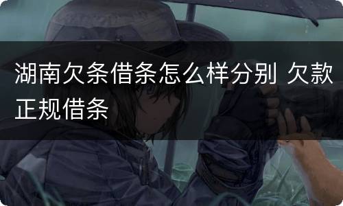 湖南欠条借条怎么样分别 欠款正规借条
