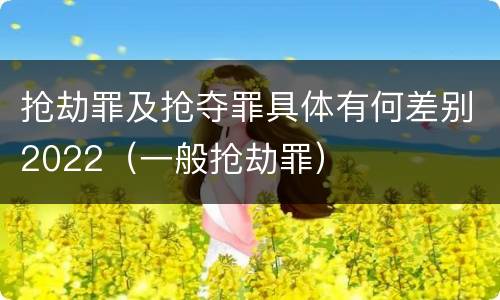 抢劫罪及抢夺罪具体有何差别2022（一般抢劫罪）