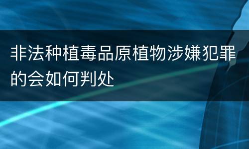 非法种植毒品原植物涉嫌犯罪的会如何判处