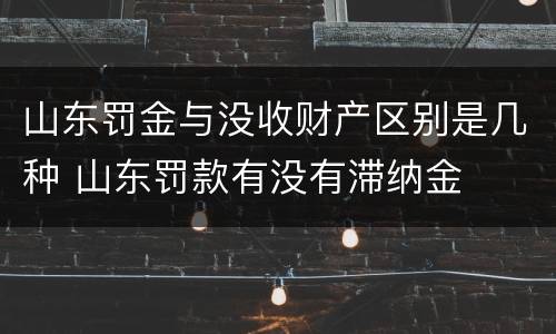 山东罚金与没收财产区别是几种 山东罚款有没有滞纳金