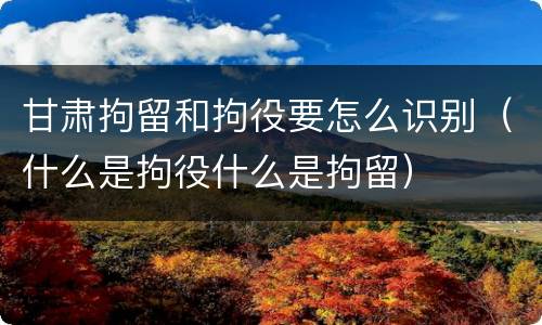 甘肃拘留和拘役要怎么识别（什么是拘役什么是拘留）