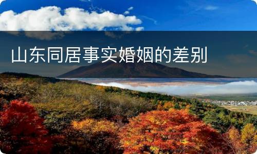山东同居事实婚姻的差别