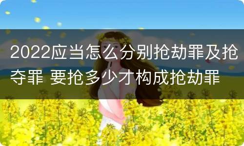2022应当怎么分别抢劫罪及抢夺罪 要抢多少才构成抢劫罪