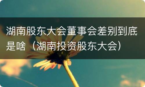 湖南股东大会董事会差别到底是啥（湖南投资股东大会）