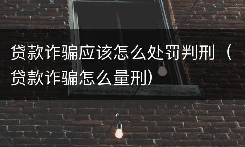 贷款诈骗应该怎么处罚判刑（贷款诈骗怎么量刑）