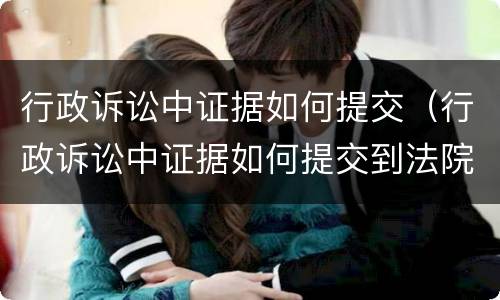 行政诉讼中证据如何提交（行政诉讼中证据如何提交到法院）