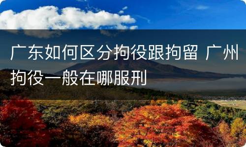 广东如何区分拘役跟拘留 广州拘役一般在哪服刑