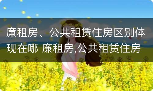 廉租房、公共租赁住房区别体现在哪 廉租房,公共租赁住房区别体现在哪里