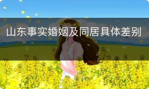 山东事实婚姻及同居具体差别