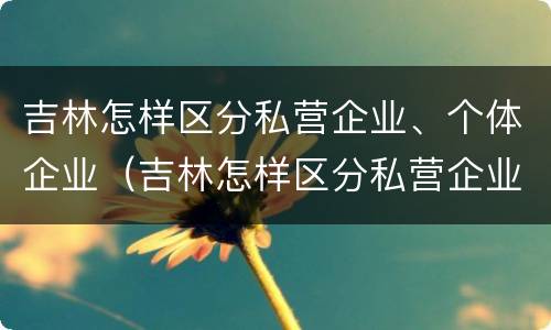 吉林怎样区分私营企业、个体企业(吉林怎样区分私营企业,个体企业和企业)