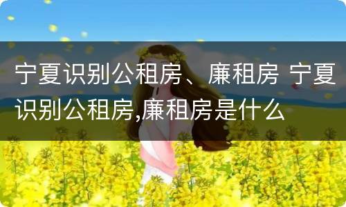 宁夏识别公租房、廉租房 宁夏识别公租房,廉租房是什么